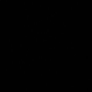 Meet your Posher, Bella